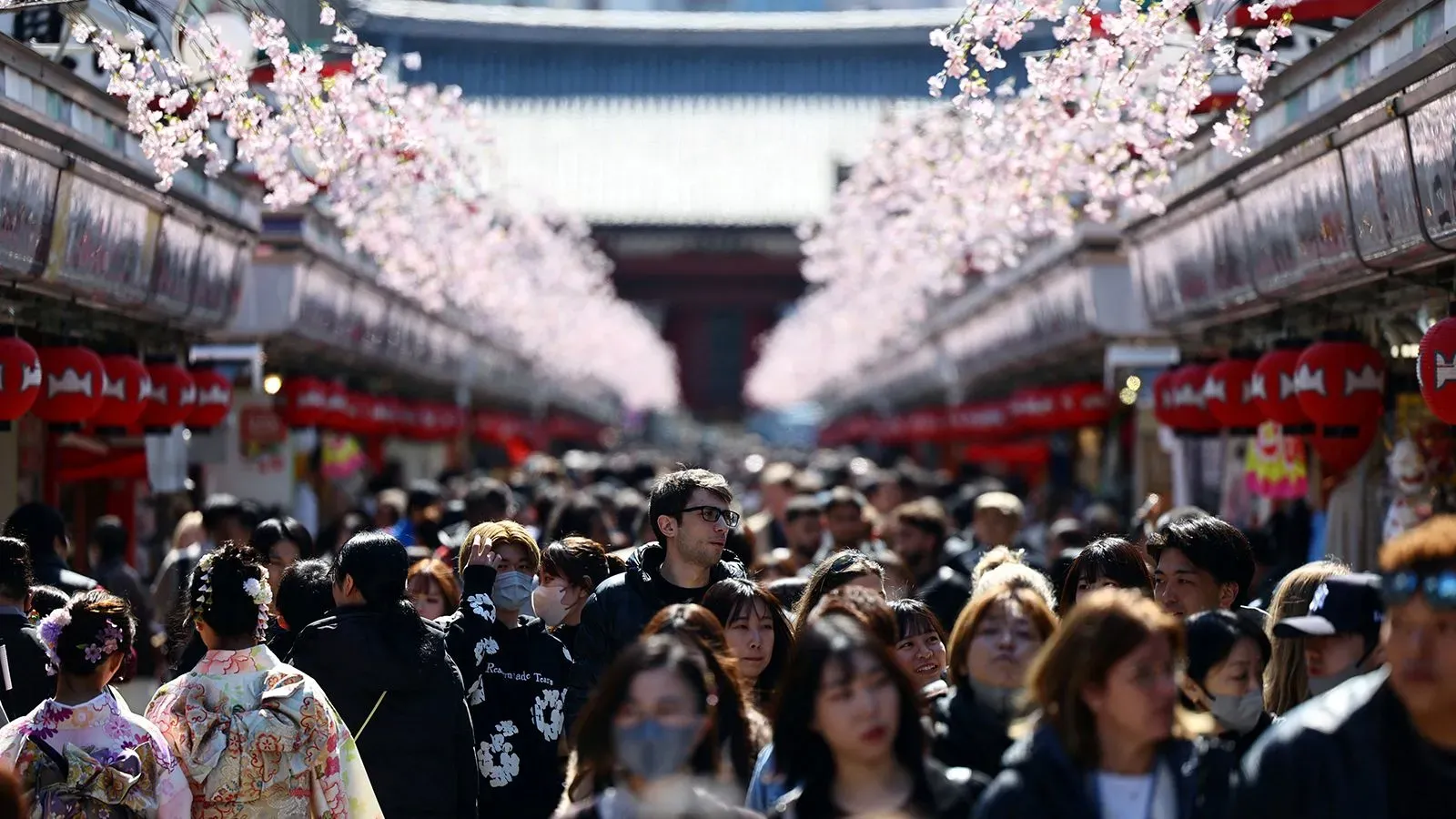 شارع مزدحم في اليابان خلال موسم زهور الكرز، حيث يرتدي بعض الأشخاص ملابس تقليدية ويظهرون في أجواء احتفالية، وسط مخاوف من الزلازل.