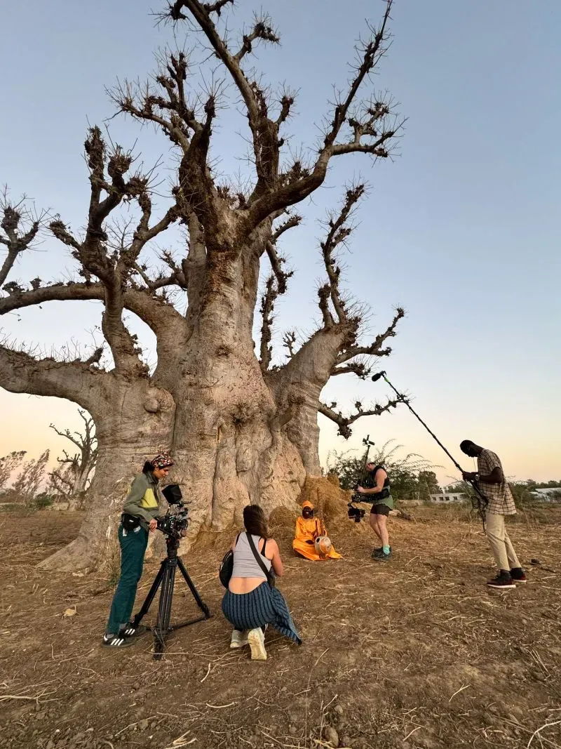 فريق برنامج "ذا إنفوي شو" يسجل مشهدًا تحت شجرة باوباب ضخمة في غرب أفريقيا، مع التركيز على حبوب الفونيو وأثرها الاقتصادي.