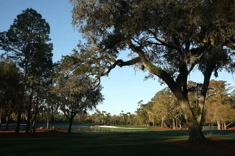 شجرة بلوط كبيرة تظلل نقطة الانطلاق السادسة في ملعب TPC Sawgrass، مع منظر طبيعي محيط يبرز جمال ملعب الجولف.