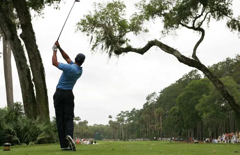 لاعب غولف يستعد لضرب الكرة في ملعب TPC Sawgrass، مع شجرة بلوط بارزة في الخلفية، تعبر عن تحديات البطولة.