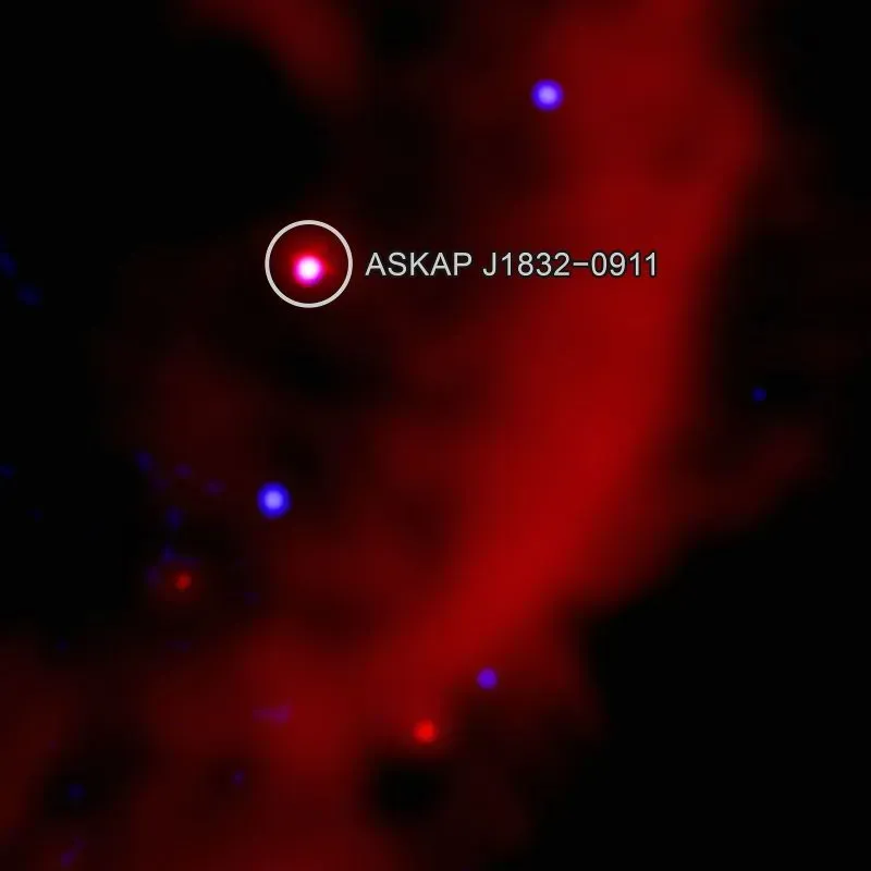رصد الجسم ASKAP J1832-0911 في الفضاء، يظهر كنقطة ساطعة محاطة بخلفية حمراء وزرقاء، مما يعكس انبعاثات الأشعة السينية وموجات الراديو.