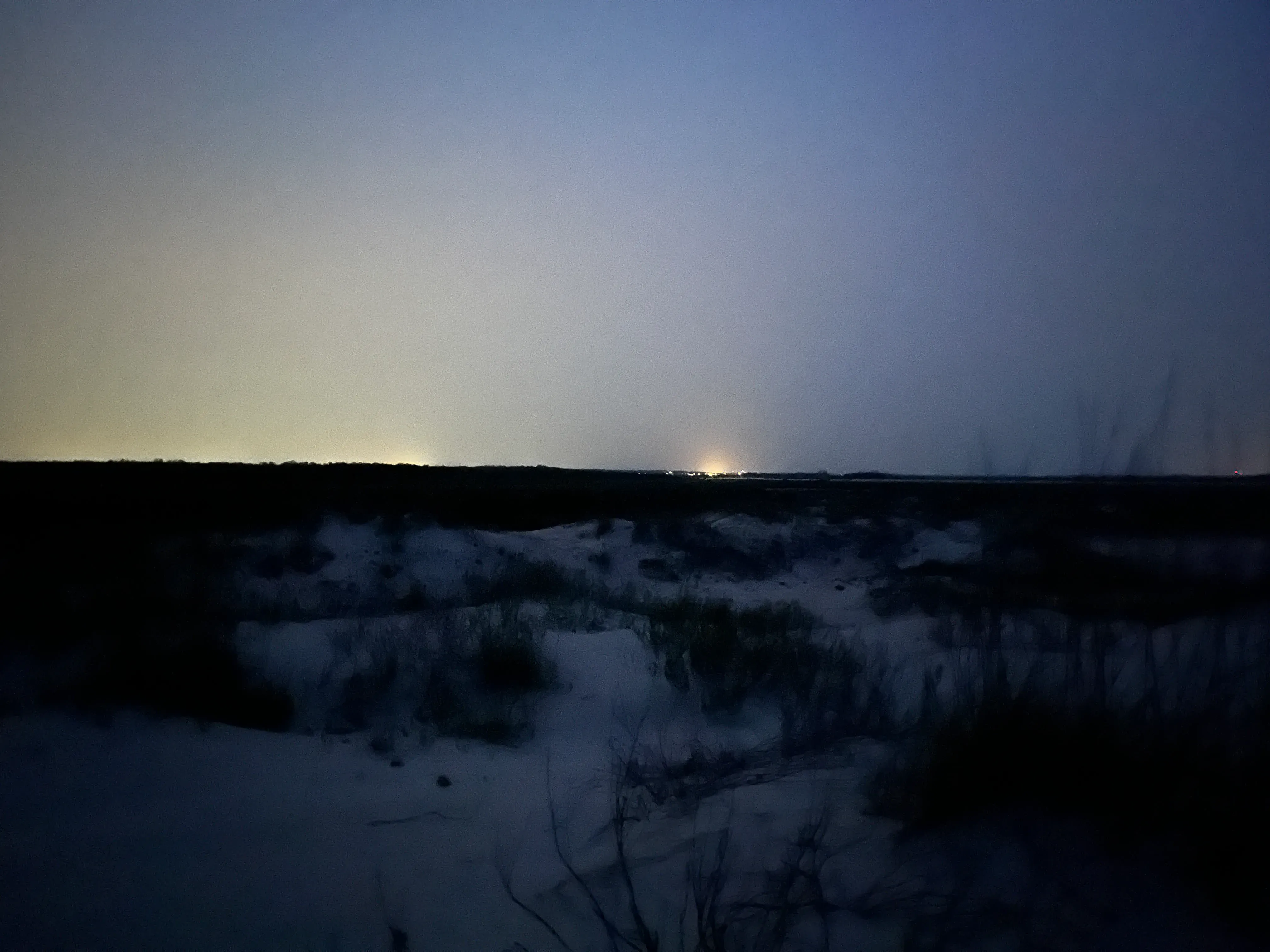 تظهر الصورة مشهدًا ليليًا لشاطئ مظلم مع وهج ساطع في الأفق، مما يؤثر سلبًا على اتجاه السلاحف البحرية في جورجيا.