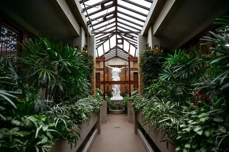 ممر مزين بالنباتات الخضراء، يضم تمثالاً أبيض في الوسط، مع سقف زجاجي يسمح بدخول الضوء الطبيعي، يعكس جمال بافالو.