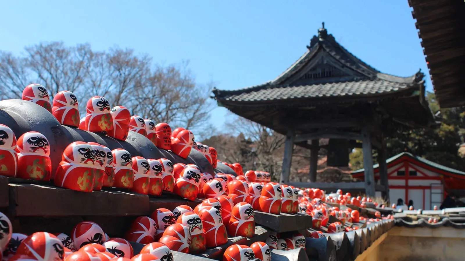 دمى داروما الحمراء تتجمع حول المعبد، تعبيرات متجهمة، تبرز كرمز للمثابرة وتحقيق الأهداف في معبد كاتسو-جي الياباني.