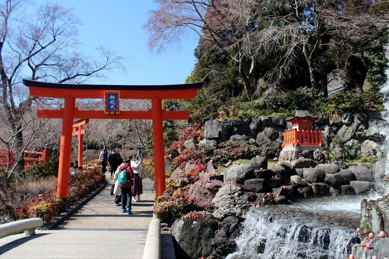 ممر في معبد كاتسو-جي محاط بأشجار، يظهر فيه بوابة توري حمراء ودمى داروما صغيرة، مما يعكس التراث الثقافي والروحانية اليابانية.