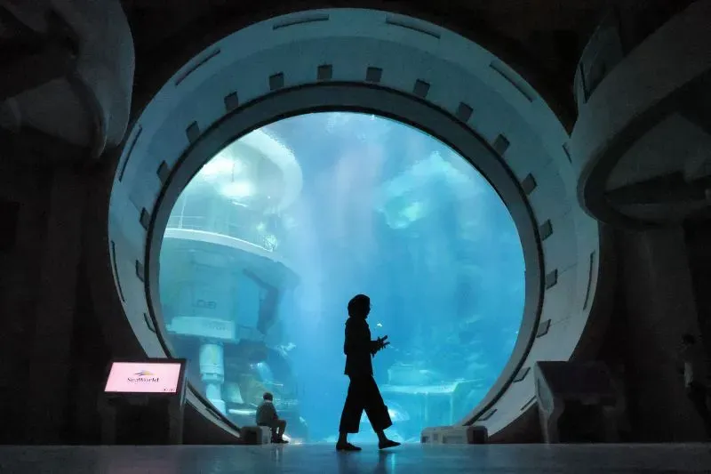 شخص يقف أمام نافذة ضخمة تعرض حوض سمك في منتجع ترفيهي بأبوظبي، حيث يُظهر التصميم المعماري الحديث.