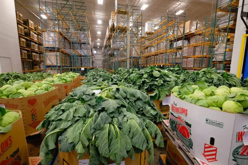 صورة لمخزن طعام يظهر صناديق مليئة بالخضروات مثل الملفوف والكرنب، مع رفوف فارغة في الخلفية، تعكس نقص المواد الغذائية في مقاطعة فريسنو.