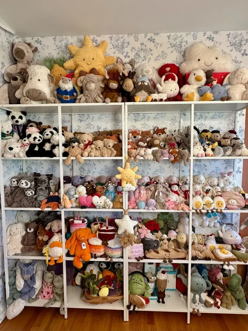 رفوف مليئة بالدمى المحشوة الملونة، تشمل أنواعًا مثل الدببة والقطط، تعكس شغف البالغين بالدمى وتجسد الحنين إلى الطفولة.