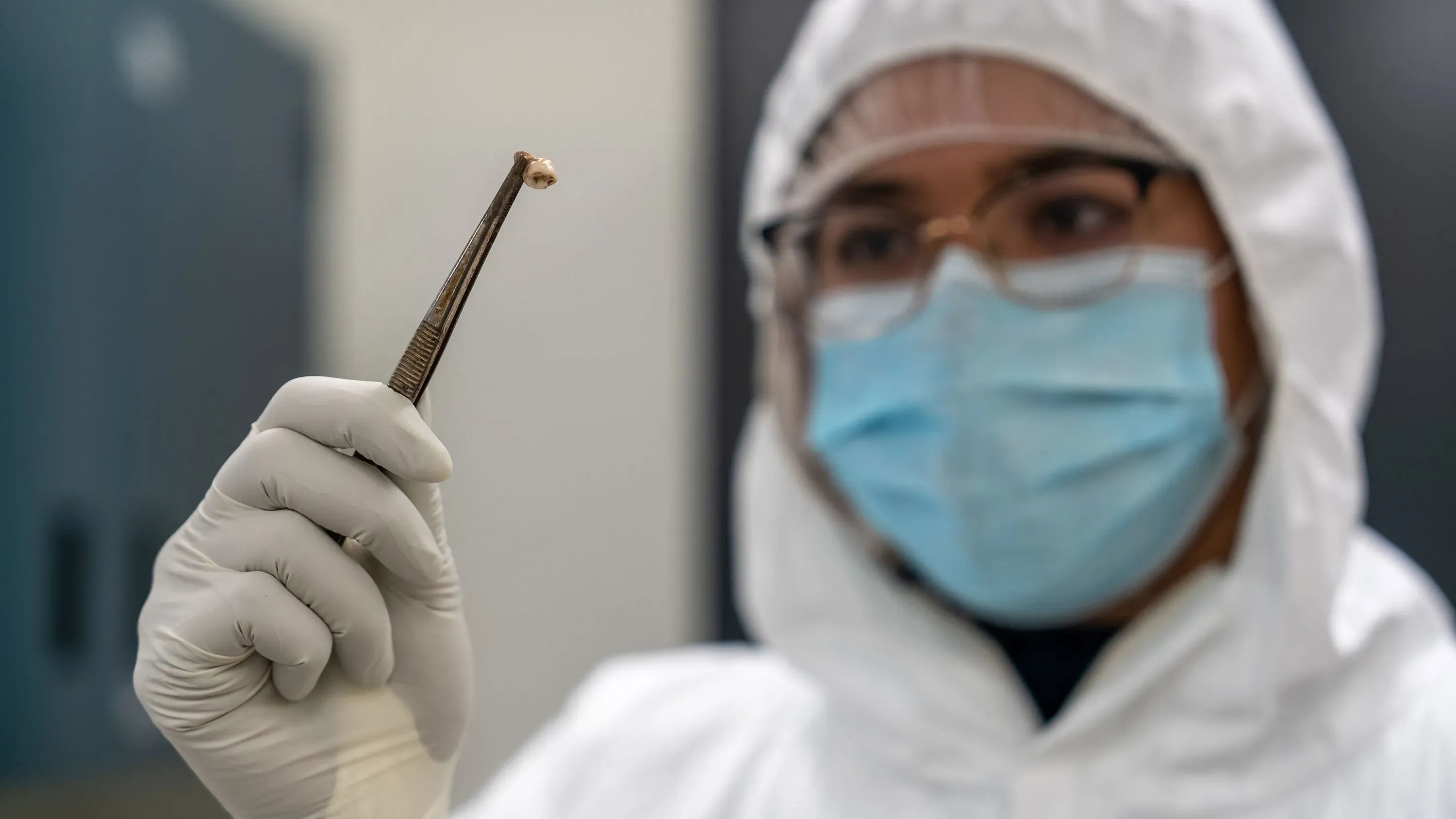 عالم يرتدي زيًا واقيًا وقناعًا، يحمل عينة صغيرة من بقايا بشرية، في سياق دراسة حول بكتيريا الطاعون Y. pestis.