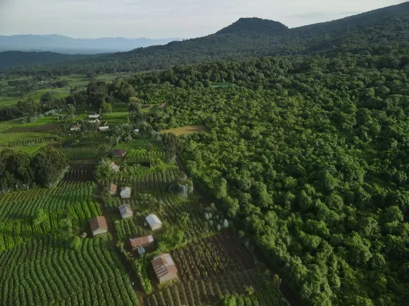 منظر جوي يظهر الغابات الكثيفة والحقول الزراعية في منطقة جبل تشيابيريمو بجمهورية الكونغو الديمقراطية، حيث تم إطلاق الغوريلا.