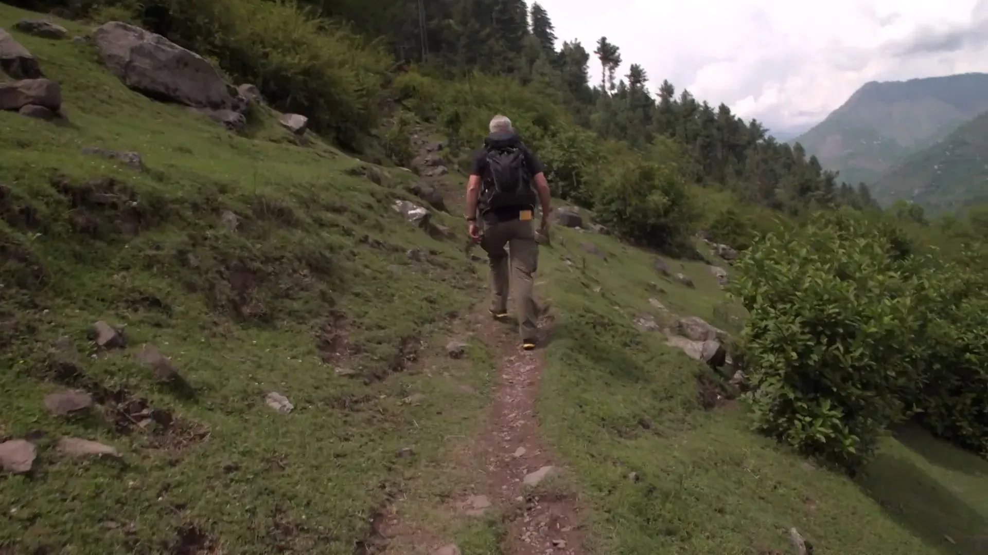 رجل يسير على درب جبلي ضيق في منطقة كشمير، محاط بأشجار خضراء وتضاريس وعرة، تعكس حياة المزارعين في المنطقة المتنازع عليها.