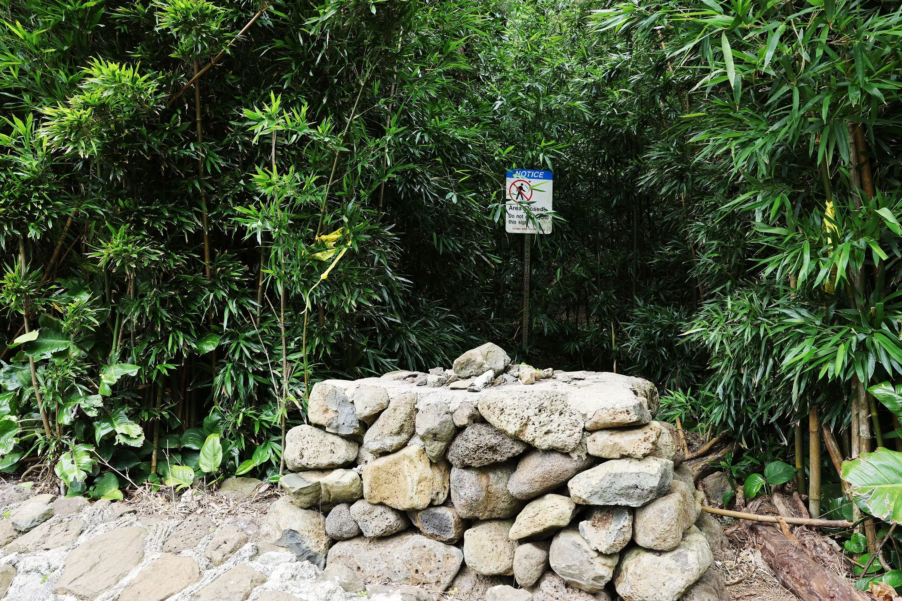 علامة تحذيرية تشير إلى منطقة خطر في غابة أوهايو، محاطة بأشجار خضراء كثيفة، تعكس تفاصيل حادثة مأساوية تتعلق بمحاولة قتل.