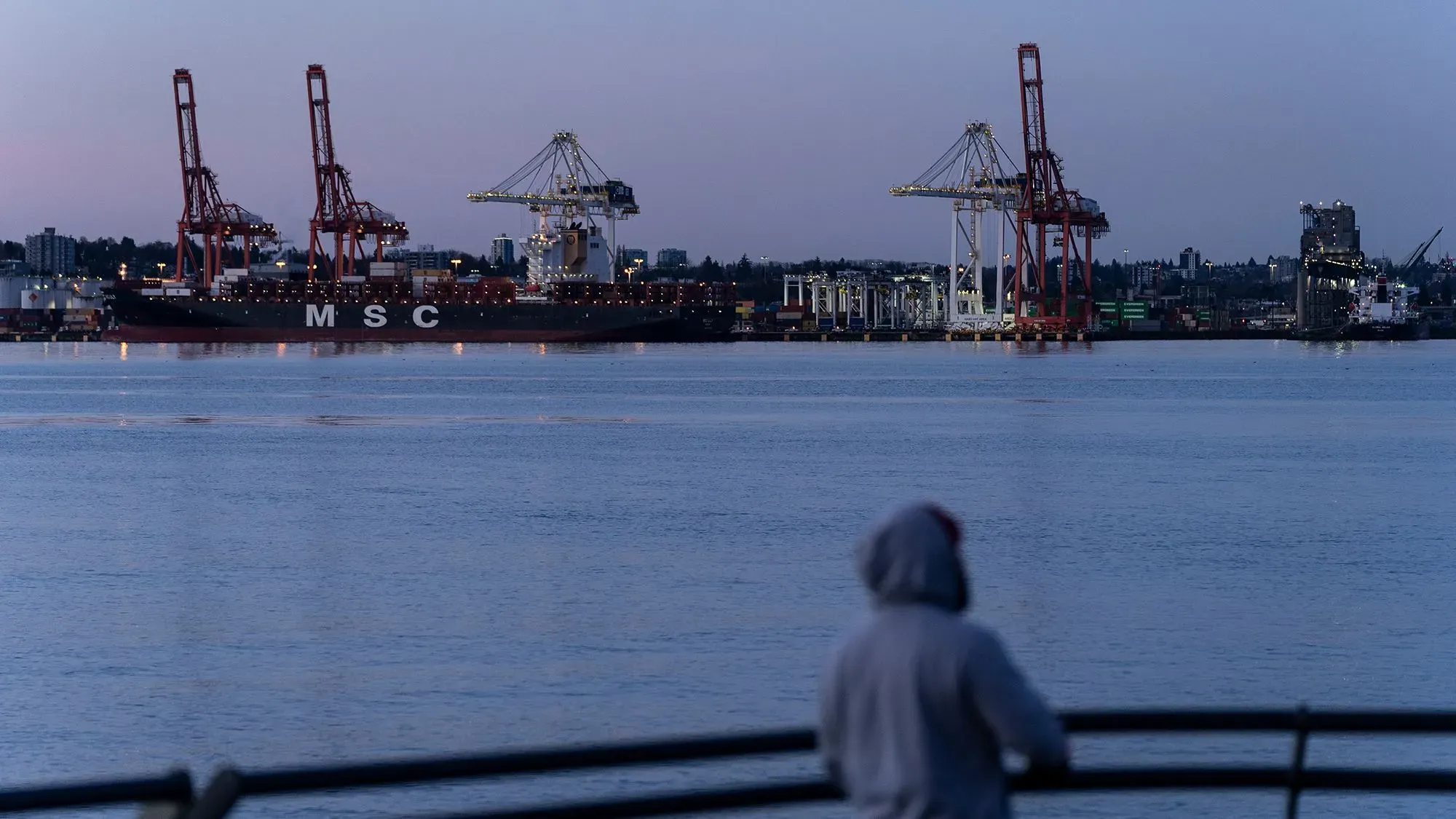صورة لشخص يقف على رصيف يراقب سفينة شحن MSC في ميناء، مع رافعات ومرافق شحن في الخلفية، تعكس أهمية التجارة بين أمريكا وكندا.