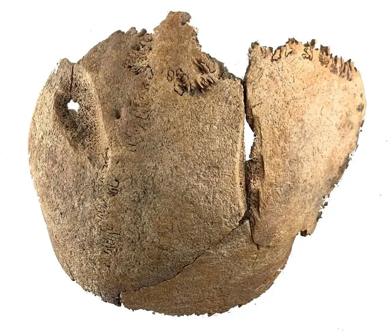 اكتشاف هيكل عظمي روماني يعود إلى القرن الأول الميلادي، يظهر علامات إصابات من معركة، يعكس تاريخ الحروب الجرمانية في فيينا.