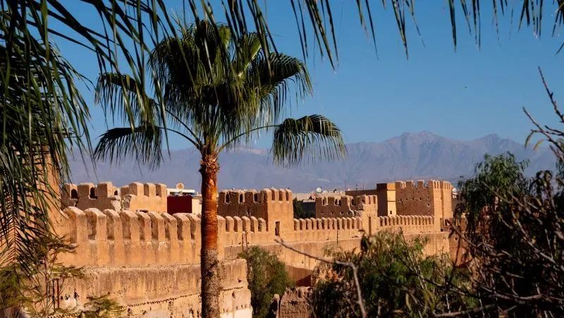 تظهر الصورة جدران مدينة تارودانت التاريخية مع أشجار النخيل والجبال في الخلفية، مما يعكس جمال المدينة وثراء ثقافتها.