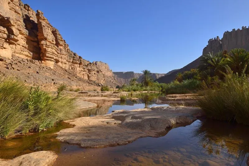 منظر طبيعي خلاب في الصحراء الجزائرية الكبرى، يظهر صخوراً عملاقة ونباتات خضراء قرب مجرى مائي، يعكس جمال منتزه الطاسيلي ناجر الوطني.