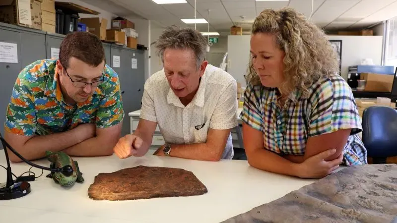 باحثون يدرسون لوحًا صخريًا يحتوي على آثار أقدام مخالب تعود لأقدم الزواحف، مما يسلط الضوء على تطور الحياة من الماء إلى اليابسة.