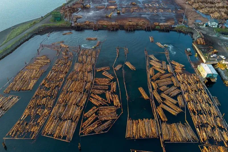 صورة جوية لمجموعة من جذوع الأشجار العائمة في المياه، تشير إلى أهمية الخشب في صناعة البناء في الولايات المتحدة.