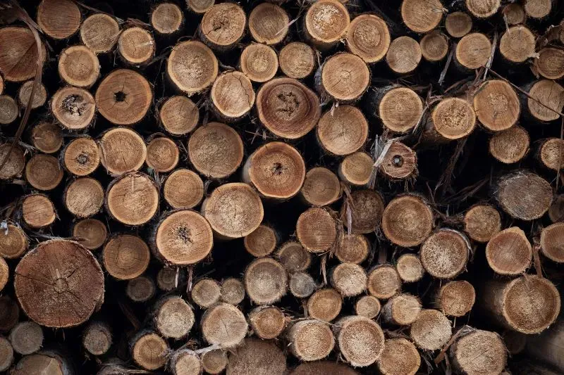 تجمع كميات كبيرة من قطع الخشب المقطوعة، تمثل المواد الأساسية في صناعة البناء، مع التركيز على أهمية الخشب اللين في السوق الأمريكية.