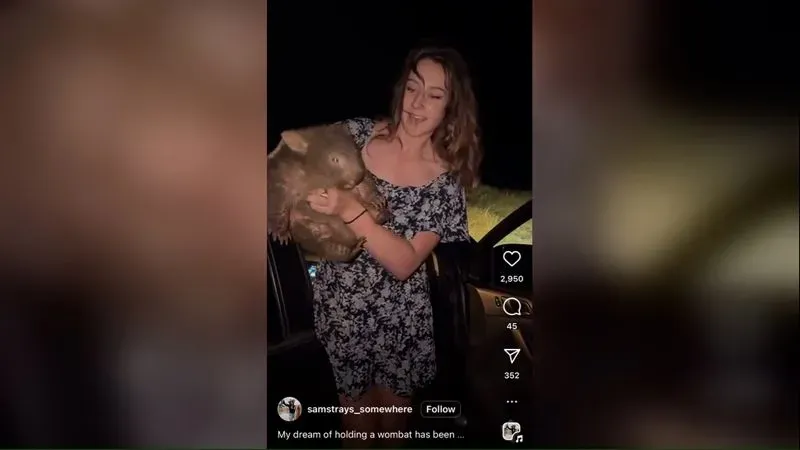 امرأة تحمل صغير حيوان الومبت في الليل، بينما تطاردها الأم، في مشهد يثير القلق بشأن حماية الحياة البرية في أستراليا.