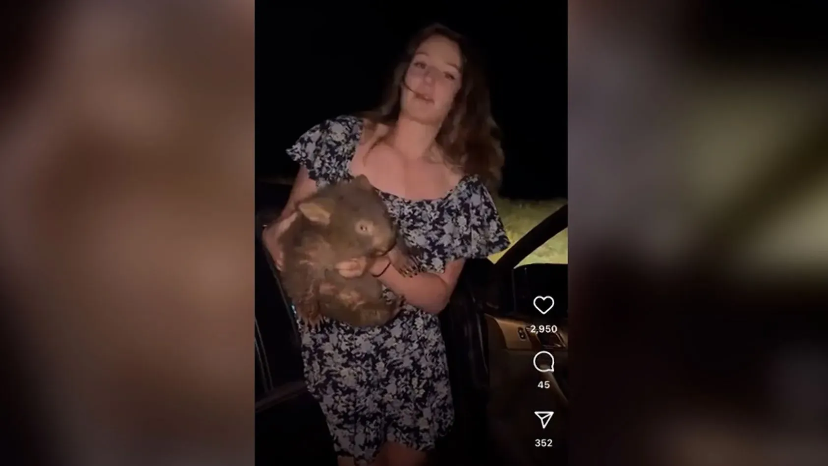 سائحة تحمل صغير حيوان الومبت في أستراليا، مبتسمة بعد الحادث الذي أثار جدلاً واسعاً حول رفاهية الحيوان.