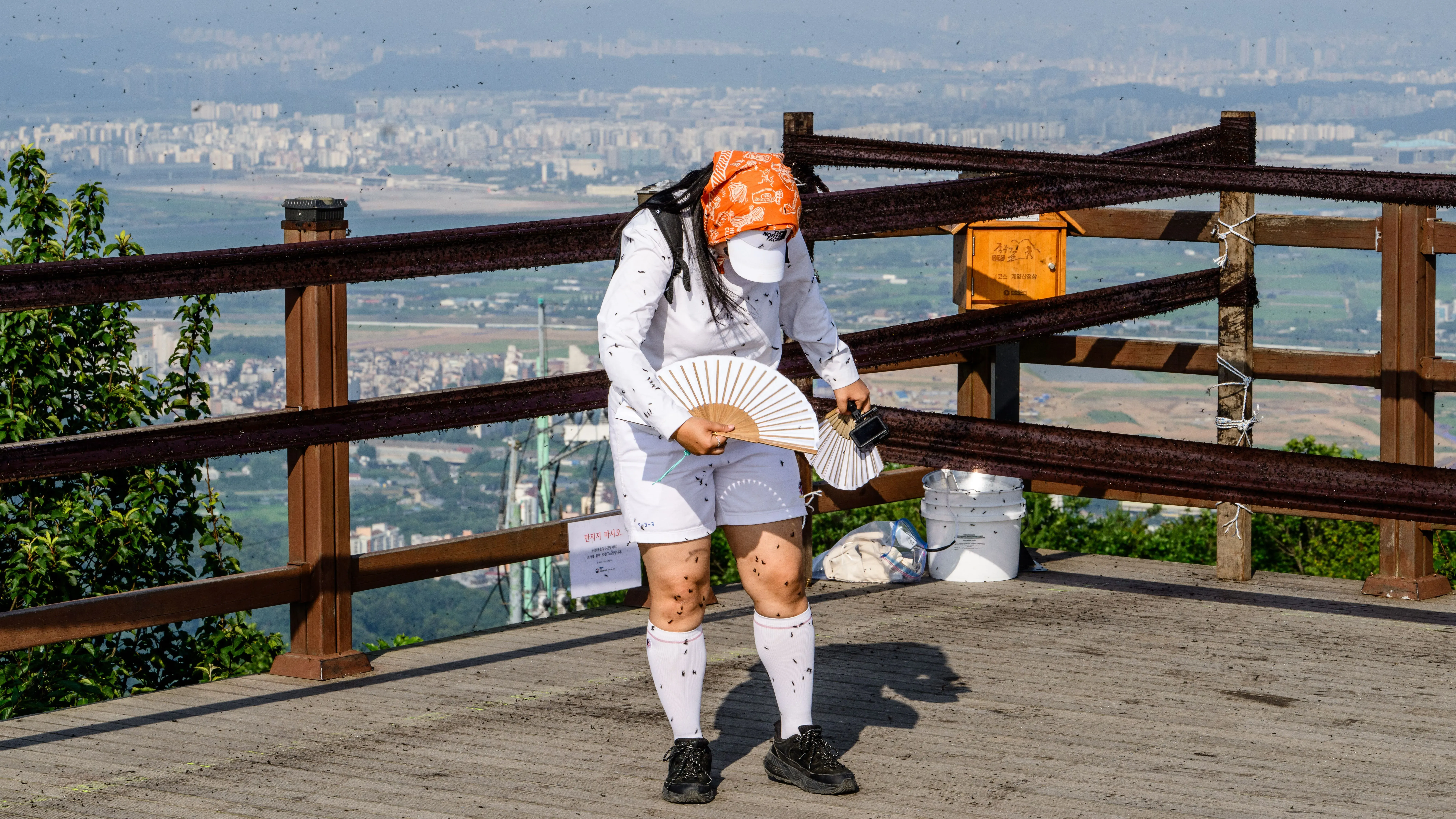 امرأة ترتدي ملابس بيضاء وتحمل مروحة، محاطة بسرب من حشرات الحب على قمة جبل في كوريا الجنوبية، مع منظر للمدينة في الخلفية.