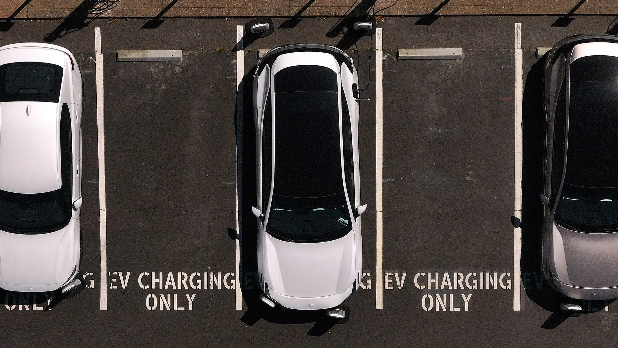 سيارات كهربائية متوقفة في موقف مخصص للشحن، مع وجود لافتة تشير إلى "شحن EV فقط"، مما يعكس أهمية الدعم الحكومي لصناعة السيارات الكهربائية.